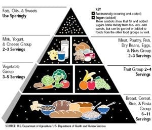 old food pyramid was wrong